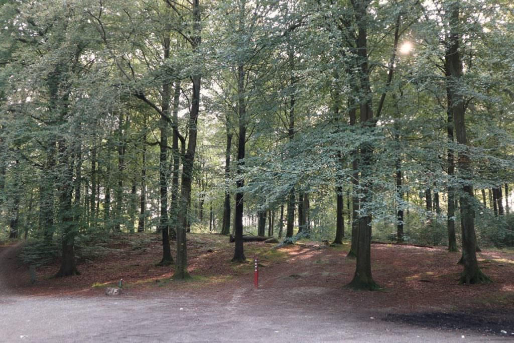 Tandlæge Værløse - Tandlægeklinik nær hareskoven